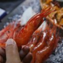 울진해산물