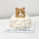 프프프 스토어 이미지