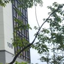 반월정성치과의원 이미지