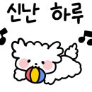 47아일랜드