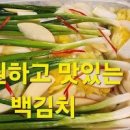 백김치 레시피 겹겹이 밀푀유 백김치 담그는 법. 이미지