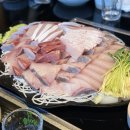 대화상회 | [노량진] 형제상회 방어(회) 포장 방법 + 진주식당 초장집 이용 후기