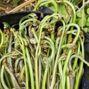 금당목장 이미지