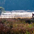 금성당구장 이미지