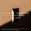 지식나무 이미지