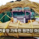 원연장마을회관 이미지