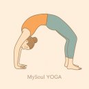 아쉬탕가 요가 | 장한평 아스테 요가 필라테스 스튜디오 :: 전신 운동 제대로 하는 아쉬탕가 요가 수업 후기