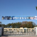 주천초등학교 개교93주년, 제1회 솔빛어울림축제 11월1일 개최 이미지