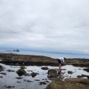 비빔사계 이미지