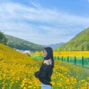 율하천L 이미지