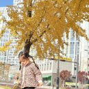 뫼골공원 이미지