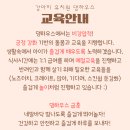 댕하우스 애견유치원 호텔 대구 중구점 이미지