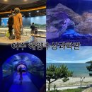수산과학관 | 여수 아쿠아플라넷 대신 해양수산과학관 후기, 아이와 가기 좋은 실내 여행
