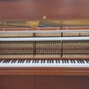 부산국제중학교 이미지