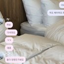 명량로 | 해남 브런치카페 &#34;커브&#34; 솔직 후기 &amp; 해남수목원&amp; 해남카페&#34;피낭시에&#34;추천