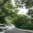 용산/이태원 :: 오월의종 베이커리, 르푸도레 후기. 내돈내산 160803