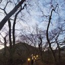 삼동면 물건1 | 새해 일출 명소 남해 물건리 방조어부림 이런 해돋이 여행 어때요?