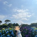 온평보건진료소 이미지