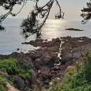 부안을노래하다 이미지