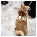 서둔동 18-10 | [수원 서둔동] 메쎄 2025 케어펫페어수원 내돈내산 솔직후기