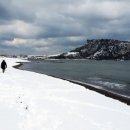 아라민박 이미지