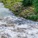 알퐁스펜션 이미지