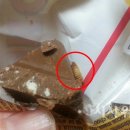 GS25 일원으뜸점 이미지