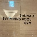 월드헬스클럽 | 아기와 잠실 롯데호텔월드 클럽라운지 | 객실• 키즈라운지•수영장•석촌호수벚꽃개화 (26.3 마지막 날...