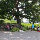 비룡 경로당 이미지