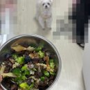 건강한 실속 집밥 레시피 | "건강한 집밥으로 심장병 폐수종 강아지 돌보기 실속 레시피 공개!"