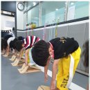 더 행복한 태권도장 이미지