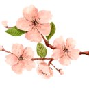 풀(POOLE) 이미지