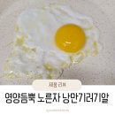 기러기농장 | 낭만기러기 기러기알 초란, 흰자만 먹던 아이가 노른자를 다 먹었어요