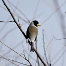 더부리공원 티스토리