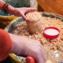 용산-현장-675 | 전현무계획2 홍성 광천 새우젓 | 광천 중앙토굴새우젓 | 새우젓 토굴 택배