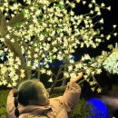 다대포해수욕장역 2번 출구 앞 | 부산 다대포 빛축제 눈 내리는시간 꿈의 낙조분수 주차장