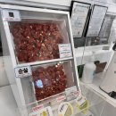 강원그릇백화점 | 강원도 속초 여행 먹거리 내돈내산 맛집 솔직 후기 | 청초수물회 만석닭강정 오션뷰 카페