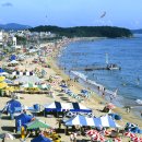 대천해수욕장 이미지