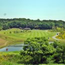 민골프클럽 이미지