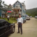 아델리아 이미지