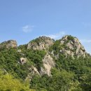 갈잎