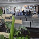 엔탑이비인후과병원 이미지