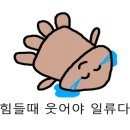 광주미의원 이미지