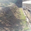 순창금산흑염소농장 이미지