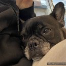 아이조아요양보호소 대구점 이미지