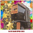 주안2동 | 주안2동 애견카페 댕댕이카페 후기 좋았던 곳 추천되는 이유는 가격과 리뷰가 좋기 때문이죠