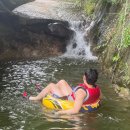 채리네민박 이미지