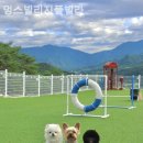 멍스빌리지풀빌라4 이미지