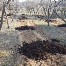 미력축산 이미지