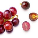 포도 씨와 껍질의 놀라운 효능 이미지